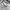 Adics for Sport Apparel Heavyweight Hidden Hood Windbreaker photo 4