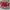 FURLA MIASTELLA Bucket Bag Pink photo 4