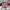 FURLA MIASTELLA Bucket Bag Pink photo 2