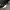 Rick Owens Streetwear Avant Garde Sneakers Pria white black photo 6