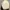 Rick Owens Streetwear Avant Garde Sneakers Pria white black photo 4