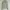 DKNY Y2K Avant Garde Hoody Wanita green photo 1