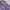 Indie Casual Shirt Wanita purple photo 3