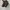 Dr. Martens Streetwear Biker Boots Pria brown photo 5