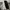 Converse Sportswear Tracksuit Pria black photo 5