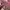 Topi Pink Awareness Ribbon & Chicago Script Slouch Hat Dad  photo 7