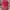 Topi Pink Awareness Ribbon & Chicago Script Slouch Hat Dad 