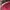 Topi Pink Awareness Ribbon & Chicago Script Slouch Hat Dad  photo 5