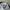 Champion Sportswear Tracksuit Pria white photo 6