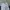 Champion Sportswear Tracksuit Pria white photo 2