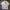 Puma Classic Oversized  photo 1