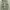 Petter Cook Cargo Pants Multipocket photo 3