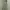 Petter Cook Cargo Pants Multipocket photo 2