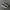 vans sk8 photo 1