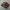 new balance 1906 photo 1