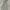 tactical cargo longpants alpha industries photo 4