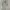 tactical cargo longpants alpha industries photo 2
