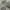 tactical cargo longpants alpha industries photo 5