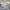 GU Vintage Y2K Casual shirt Pria cream photo 2