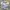 GU Vintage Y2K Casual shirt Pria cream photo 1