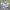 GU Vintage Y2K Casual Shirt Pria Cream