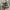 WTAPS Streetwear Vintage Hat Pria Multicolor