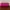 Vintage Clutch Wanita pink photo 3