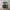 Nike Casual Sportswear Sneakers Pria gray photo 5