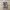 Nike Casual Sportswear Sneakers Pria gray photo 2