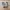 Nike Casual Sportswear Sneakers Pria gray photo 3