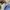 New Balance Casual Sportswear Sneakers Wanita navy cream photo 7