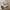 New Balance Casual Sportswear Sneakers Wanita cream photo 1