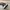 Adidas Casual Sneakers Pria white black photo 6