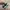 New Balance Sportswear Sneakers Pria multicolor photo 6