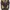 Zip Up double Old money  photo 2
