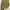 PricklyCholla Pleated/Pleats Pants Issey miyake photo 1