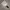 Airpods Pro (2nd Generation)  photo 5