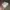 Airpods Pro (2nd Generation)  photo 4