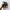 Birkenstock Boston Suede Leather Soft Grey photo 6