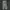 CARGO PANTS - CAMO