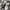Onitsuka slip on kids  photo 1