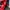 SS19 KITH x Coca-Cola 1/4zip nylon jacket photo 9