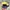 Chase Nascar Vintage Sportswear Hat Pria blue yellow photo 5