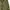 Military Anorack jacket photo 5