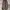GU Super Wide Cargo Pants (Dark Brown) photo 3