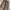 GU Super Wide Cargo Pants (Dark Brown) photo 4