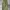 GU Super Wide Cargo Pants (Green) photo 1