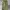 GU Super Wide Cargo Pants (Green)