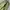 GU Super Wide Cargo Pants (Green) photo 4