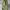 GU Super Wide Cargo Pants (Green) photo 3
